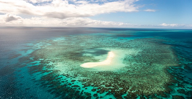  The Great Barrier Reef. PHOTO BY WWF 