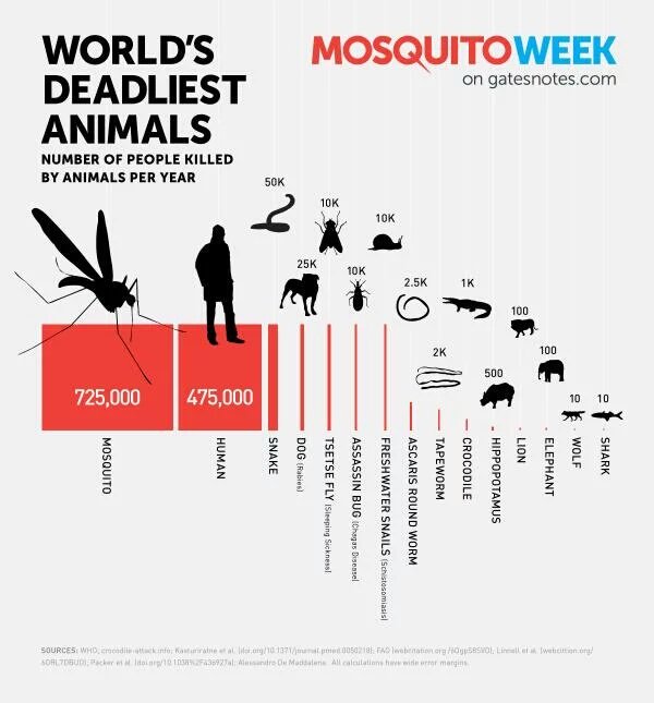 mosquito week