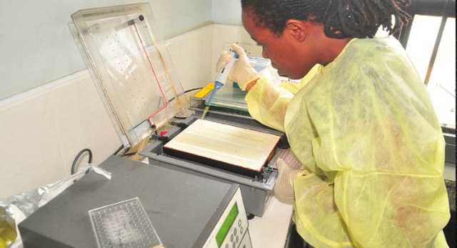 A lab technician tests sickle cell samples at the central public health laboratories. INDEPENDENT/JIMMY SIYA