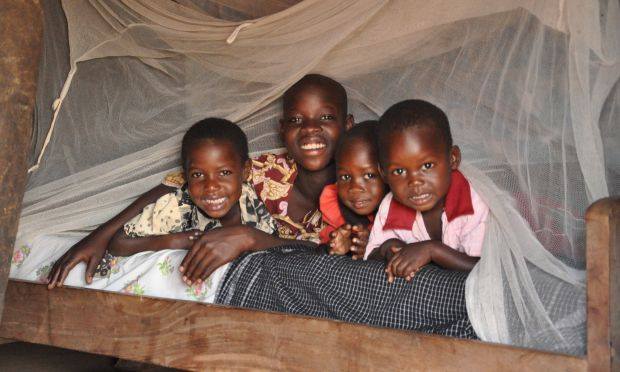 Children play under a mosquito net. Nets help prevent mosquitoes biting those who sleep