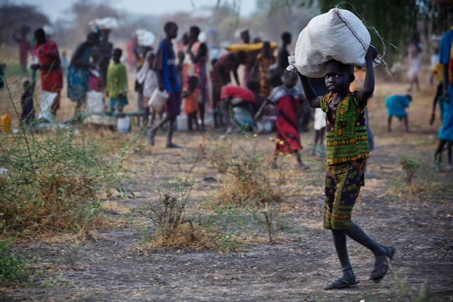 Hiding in swamps, South Sudanese eat little more than lilies