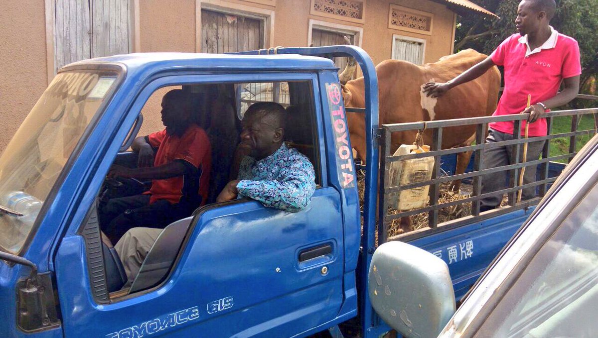 Besigye's attempts to auction cow were thwarted. He could not leave home.