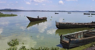How to save Lake Victoria