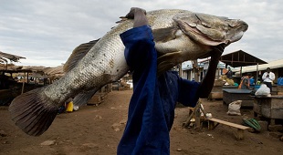 Africa's food future does not depend on land alone, but also on its waters