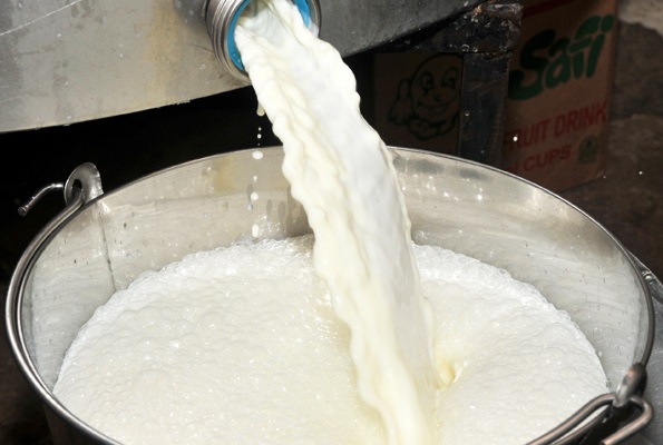 DDA struggles to contain illegal removal of milk cream