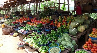 FAO: Energy crisis not yet affecting food prices owing to reserves