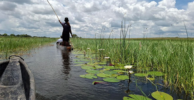 When African conservation crosses borders