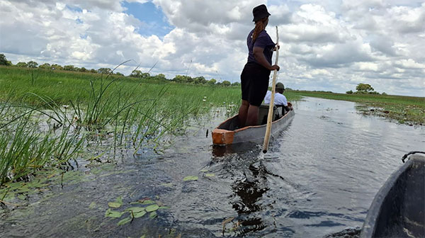 Cruising on the Mokoro inside the Okavango Delta
