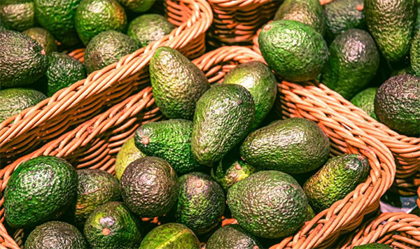 How Morocco is redrawing Africa’s avocado trade map