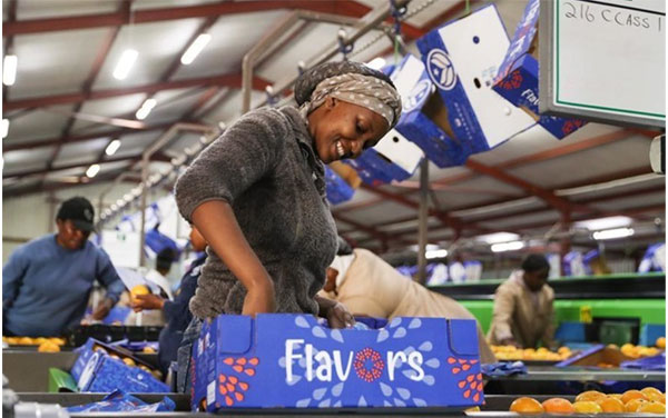 ‘China’s zero-tariff policy to boost African export confidence, global trade stability’