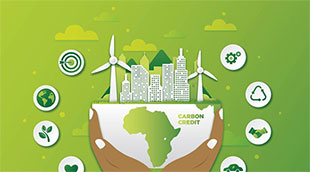 African governments are strengthening governance systems around carbon market institutions