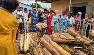 Amahoro Coalition fellows tackling environmental degradation using a business-first approach
