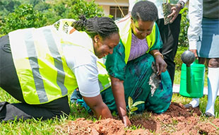 MP Amelia Kyambadde joins Equity Bank and My Tree Initiative to champion tree planting in Mpigi