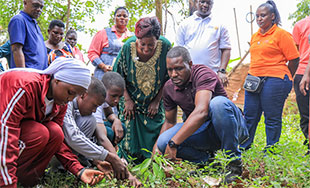 Reach A Hand Africa and Rotary Club Of Lungujja partner to plant trees