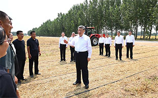 Xi calls for solid measures to modernize agriculture, rural areas