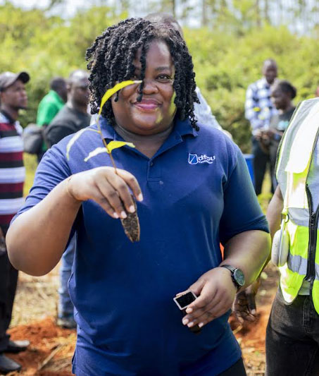Environment: dfcu Bank and UTGA boost tree planting and grow