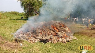 UPDF destroys illegal fishing nets worth Shs1.8 billion in Kwania