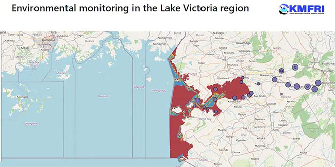 Can AI stop mass fish deaths on Lake Victoria?