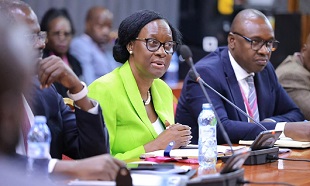 Committee seeks academic credentials of 13 CAA top staff