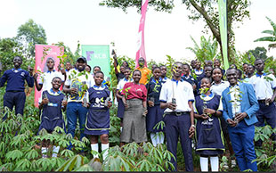 ICEA LION, KCB Bank in 1,500-trees schools drive