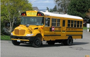 Gov't moves to introduce mandatory colour coding for school buses and vans