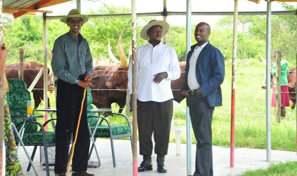 What does President Museveni know about Andrew Mwenda?