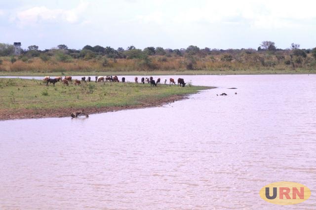 Karamoja leaders seek innovative solutions to water crisis